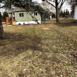 residential backyard