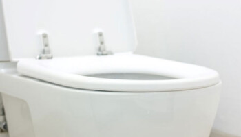 toilet repair